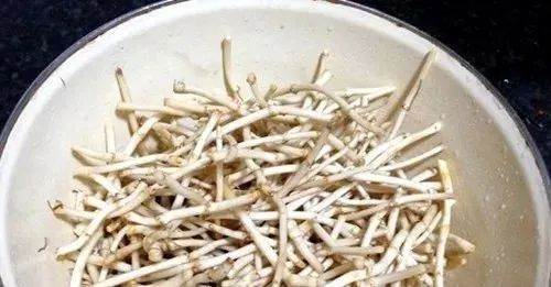 食疔补硒有哪些（补硒副作用）-硒宝网