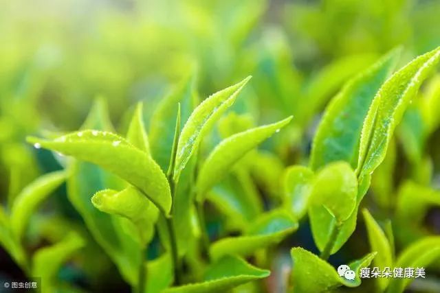 补硒会胃出血吗(胃病补硒)-硒宝网