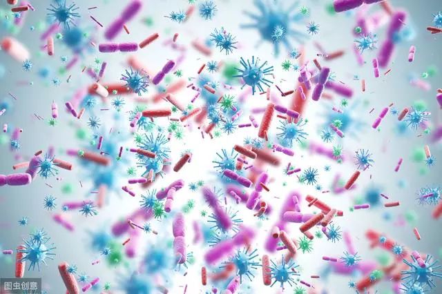 甲减必须补硒吗（补硒对甲减有作用吗）-硒宝网