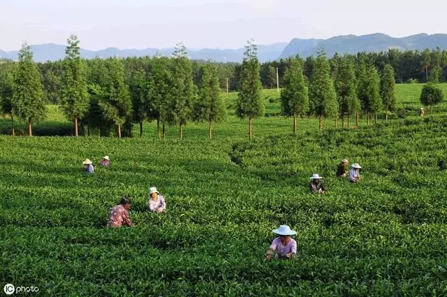 甲减必须补硒吗（补硒对甲减有作用吗）-硒宝网