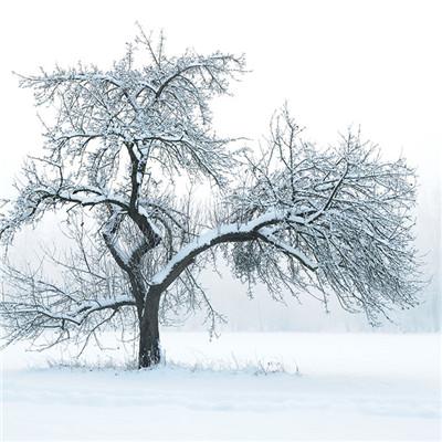 铜钾硒要怎么补（硒钾元素）-硒宝网