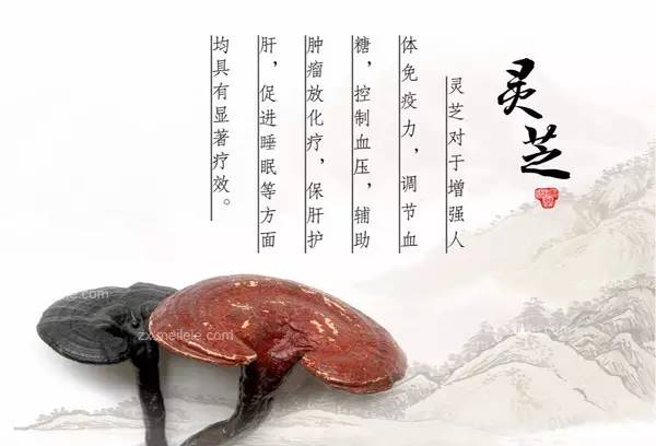 补硒会姨妈黑吗(补硒会导致月经推迟吗)-硒宝网