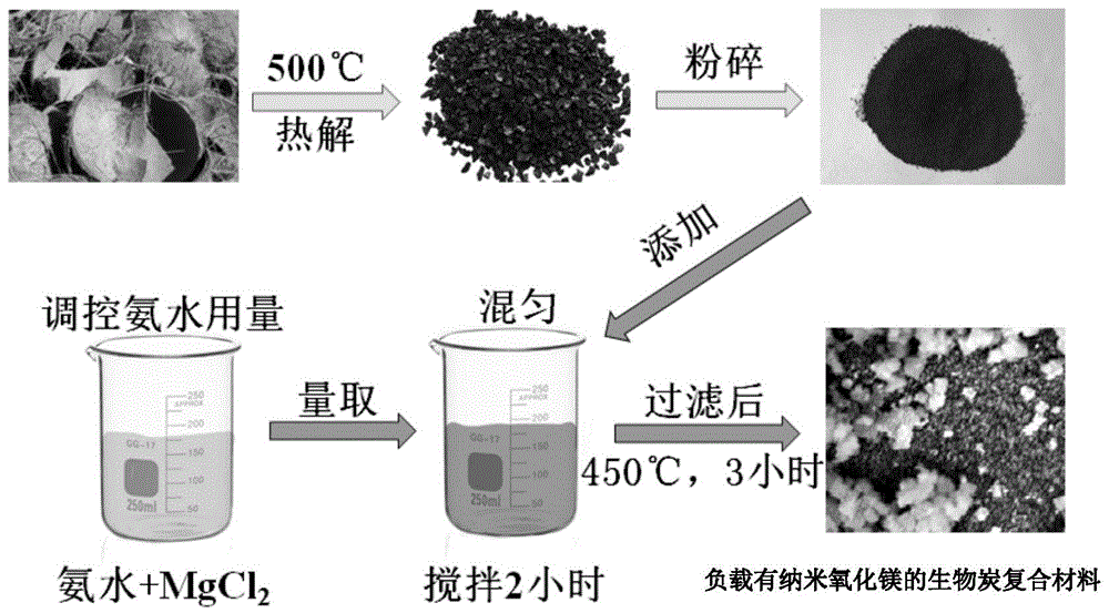 微量元素记忆口诀（8种人体必需微量元素记忆口诀）-硒宝网