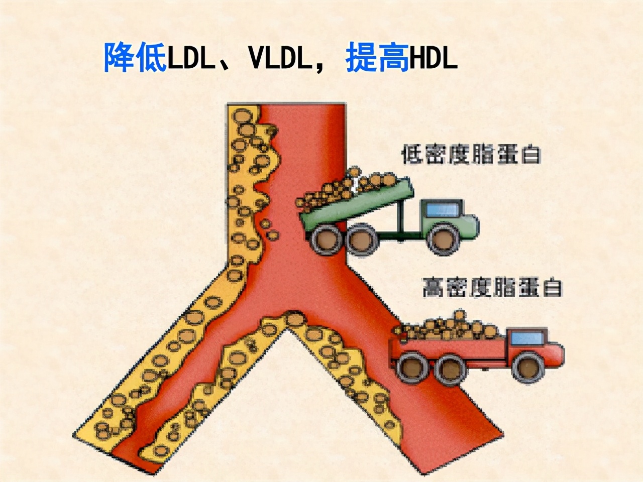 补硒预防心肌炎（硒对心肌炎的作用）-硒宝网