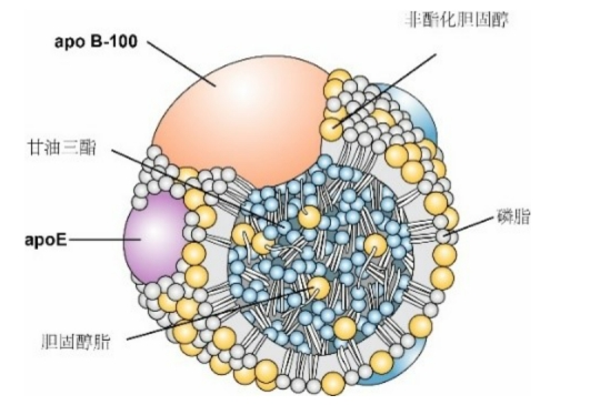 补硒预防心肌炎（硒对心肌炎的作用）-硒宝网