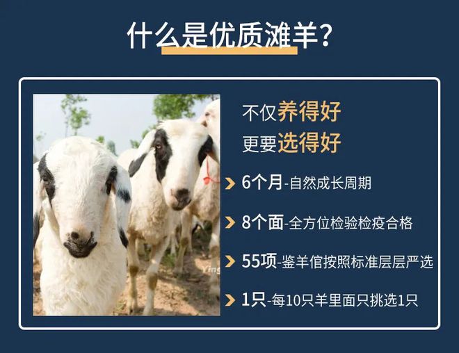 咋给小羊羔补硒（羔羊补硒用什么药）-硒宝网