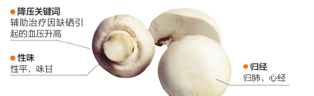 高血压可补硒吗（补硒能治疗高血压吗）-硒宝网