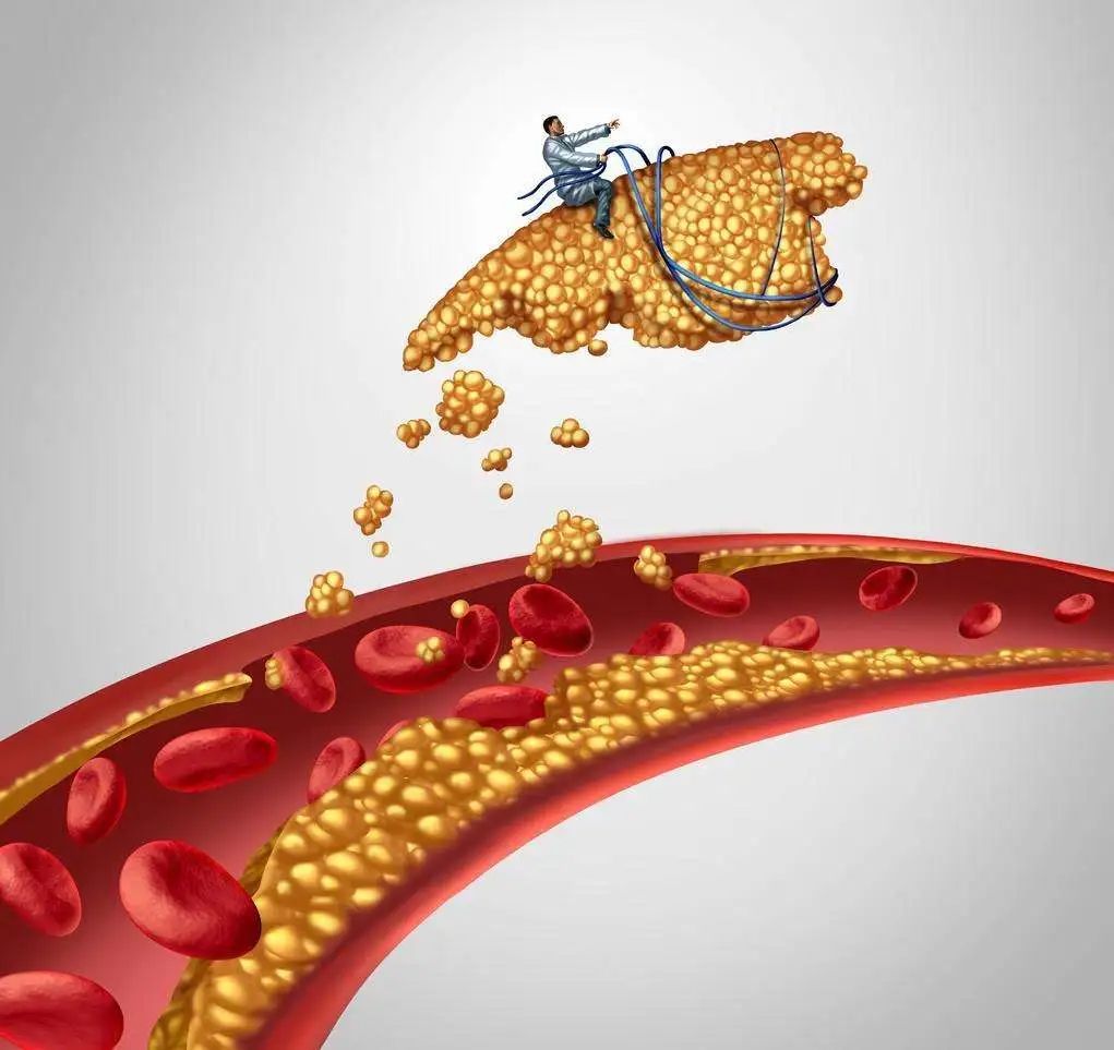 慢性胆囊炎补硒(慢性炎补胆囊硒可以吗)-硒宝网