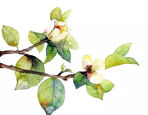 吃补硒会头疼吗(补硒会头痛吗)-硒宝网