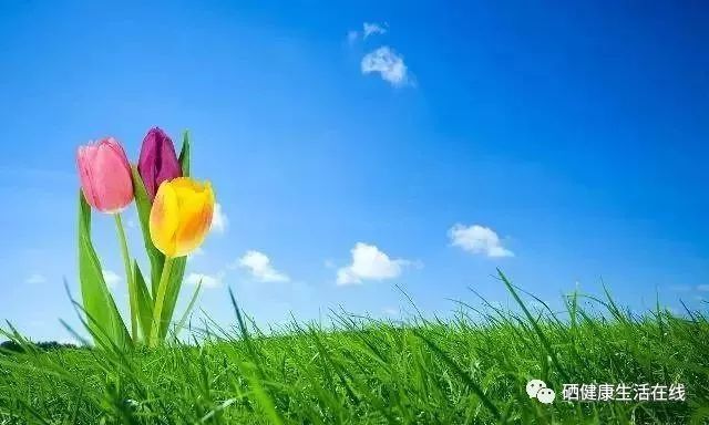 补硒的有哪些药(补硒的药都有什么)-硒宝网