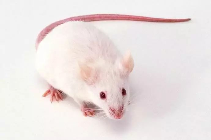 到底用不用补硒(补硒)-硒宝网