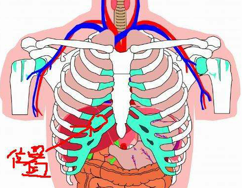 补硒后肝区疼痛(肝病患者补硒)-硒宝网
