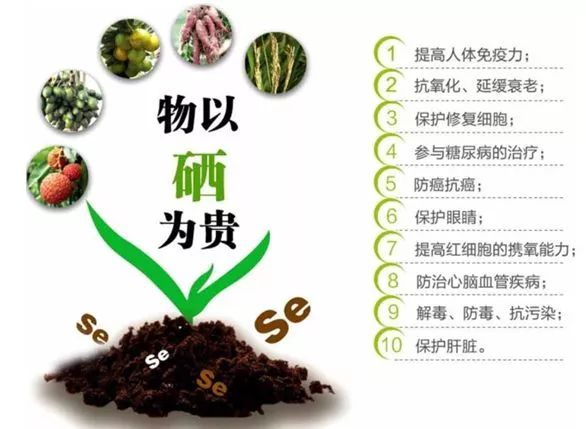 补硒的作用大吗（硒的作用和补硒的好处一）-硒宝网