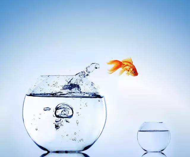 人补硒吃什么药(补硒的药物发胖吗)-硒宝网