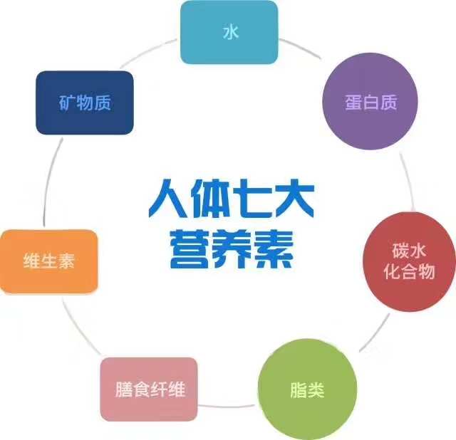 能不能单独补硒(能补硒的食物和蔬菜水果有哪些)-硒宝网