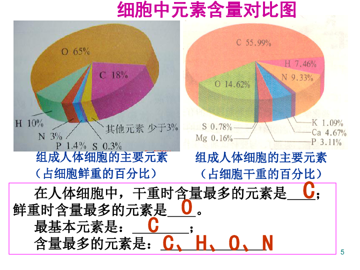 微量元素记忆口诀(常量元素和微量元素记忆口诀)-硒宝网