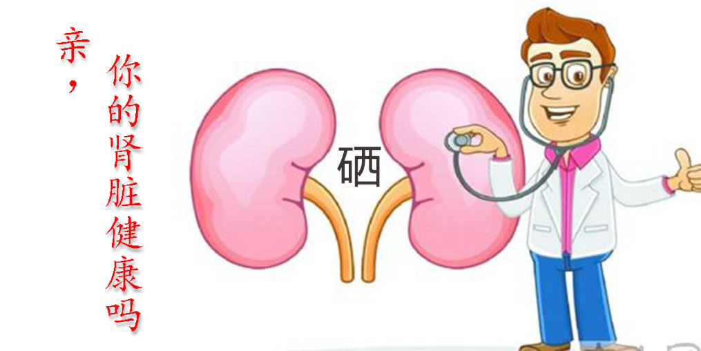 肾病怎么样补硒（补硒对肾病有作用吗）-硒宝网