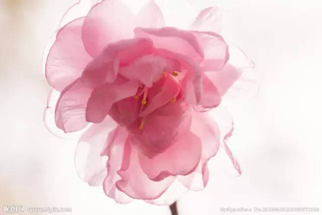 血瘀能吃补叶硒(补锌补硒能起到什么作用)-硒宝网