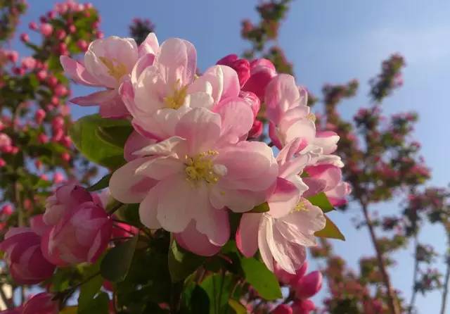 血瘀能吃补叶硒(补锌补硒能起到什么作用)-硒宝网