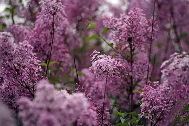 血瘀能吃补叶硒(补锌补硒能起到什么作用)-硒宝网