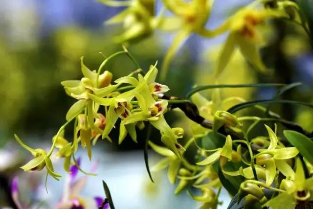 血瘀能吃补叶硒(补锌补硒能起到什么作用)-硒宝网