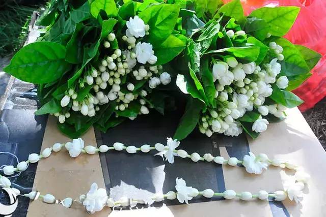 血瘀能吃补叶硒(补锌补硒能起到什么作用)-硒宝网