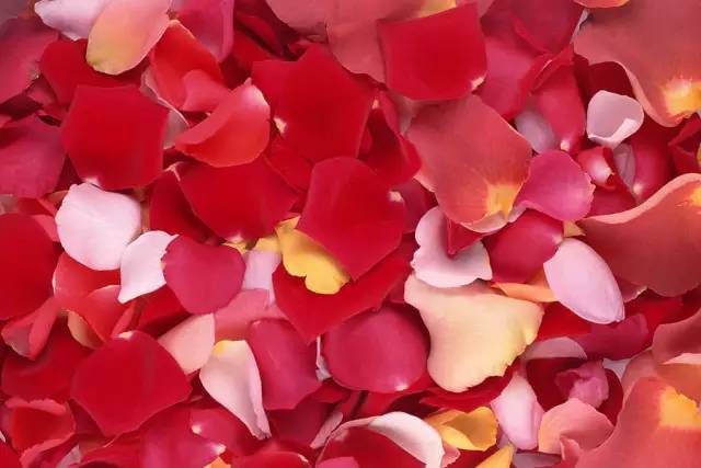 血瘀能吃补叶硒(补锌补硒能起到什么作用)-硒宝网