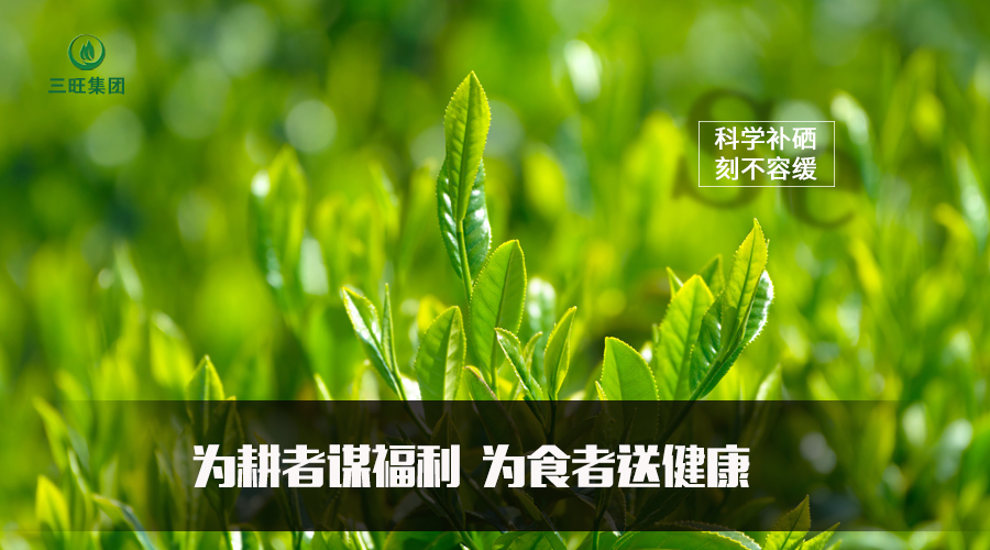 卫健委补硒标准（硒补新标准）-硒宝网