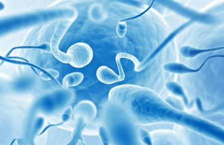 男性备孕补硒吗(男士备孕补硒)-硒宝网