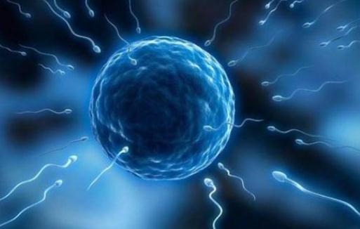 男性备孕补硒吗(男士备孕补硒)-硒宝网