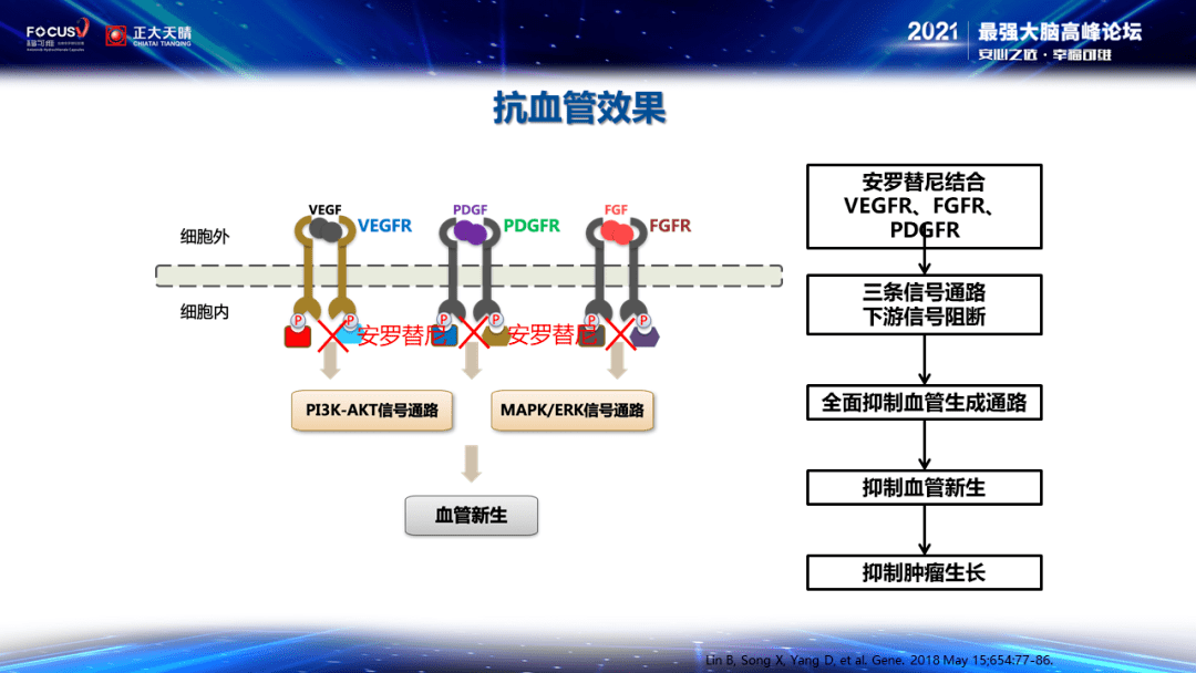 喝什么茶能补硒（硒片喝茶水可以一起服用吗）-硒宝网
