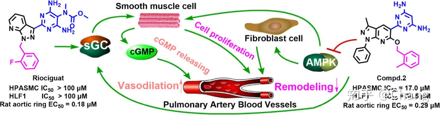 喝什么茶能补硒（硒片喝茶水可以一起服用吗）-硒宝网