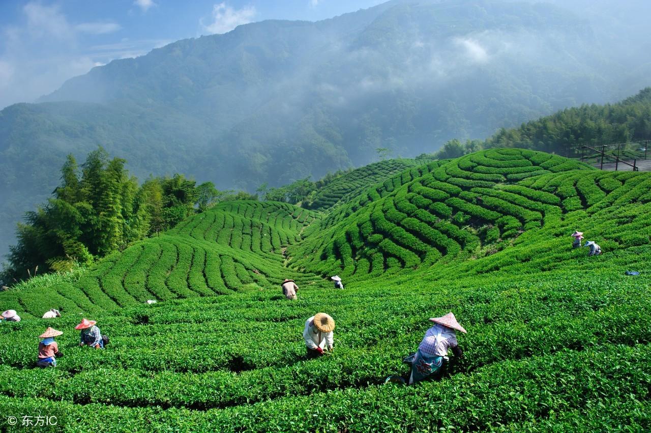 泡什么水喝补硒（补硒的水）-硒宝网