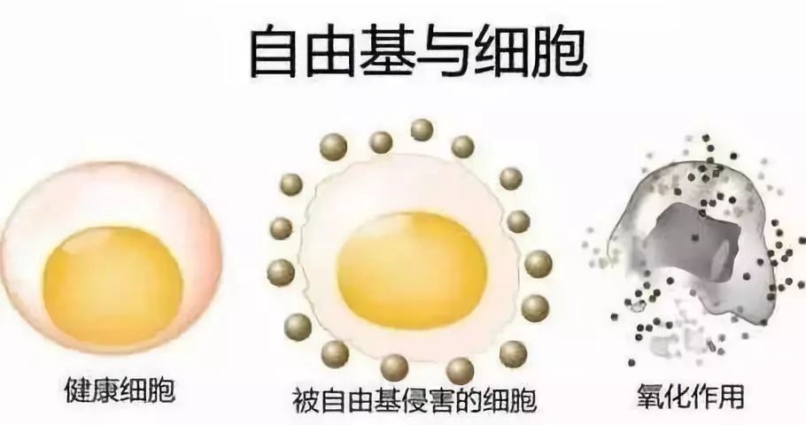 冠心病能补硒吗（能冠心病补硒的药物）-硒宝网