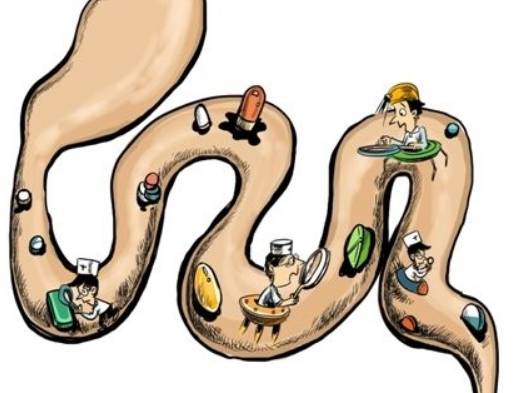 什么人可以补硒（补硒能干嘛）-硒宝网