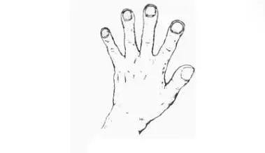 什么人可以补硒（补硒能干嘛）-硒宝网