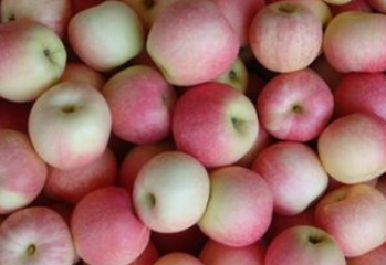 种的梨怎么补硒（富硒梨怎么吃）-硒宝网