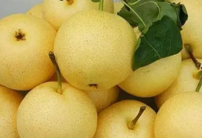 种的梨怎么补硒（富硒梨怎么吃）-硒宝网