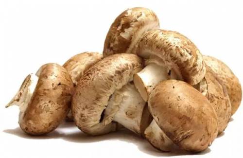 孕妇是否能补硒(孕妇能吃补硒的保健品吗)-硒宝网