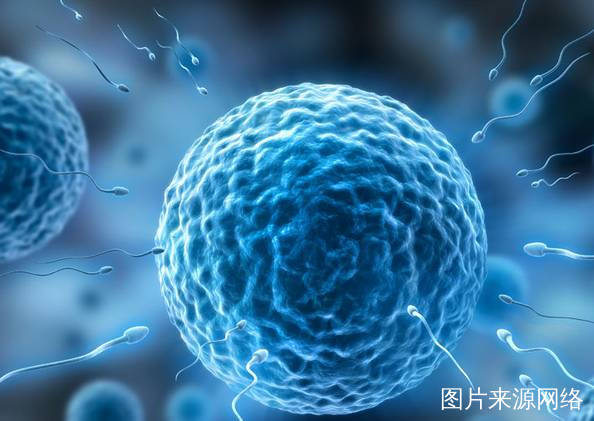 备孕女补硒好处(备孕补硒的好处)-硒宝网