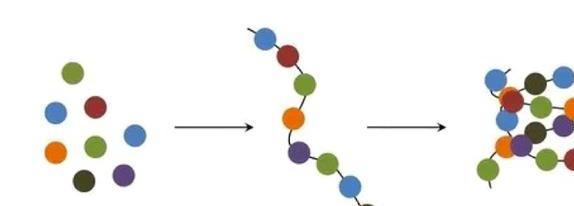 补硒哪种比较好（补硒哪种好）-硒宝网