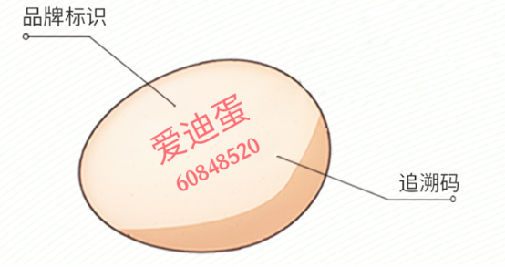 硒元素能补蛋吗（鸡蛋补硒）-硒宝网
