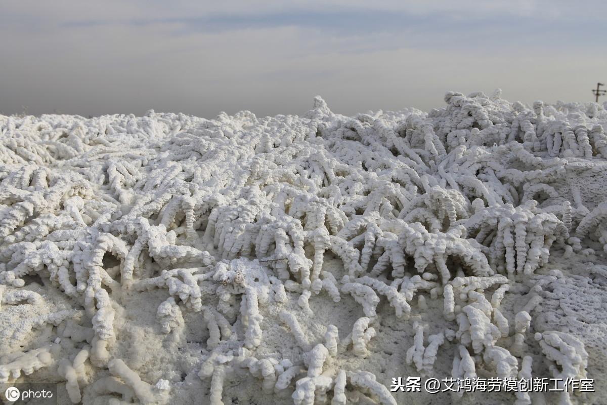 羊的硒吃什么补(给羊补硒用什么药)-硒宝网