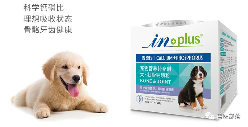 狗狗补硒可以吗（狗狗补硒可以长期吃吗）-硒宝网