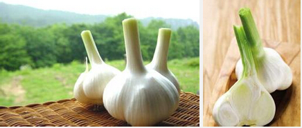 黑蒜可以补硒吗(补硒可以黑蒜补钙吗)-硒宝网