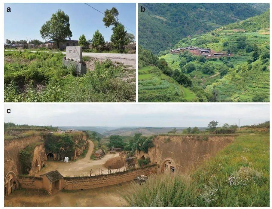 补硒防治克山?。ㄎ钥松讲〉淖饔茫?硒宝网