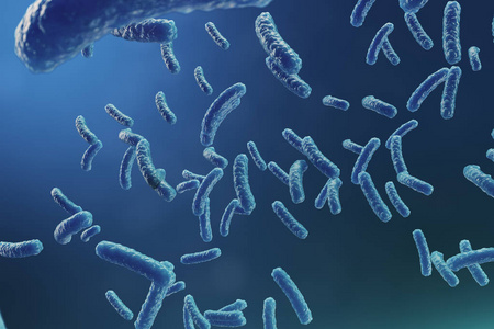 木瓜能不能补硒(木瓜能补啥)-硒宝网