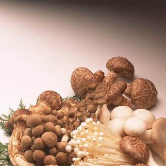 中年人怎么补硒（中老年补硒还有用吗）-硒宝网