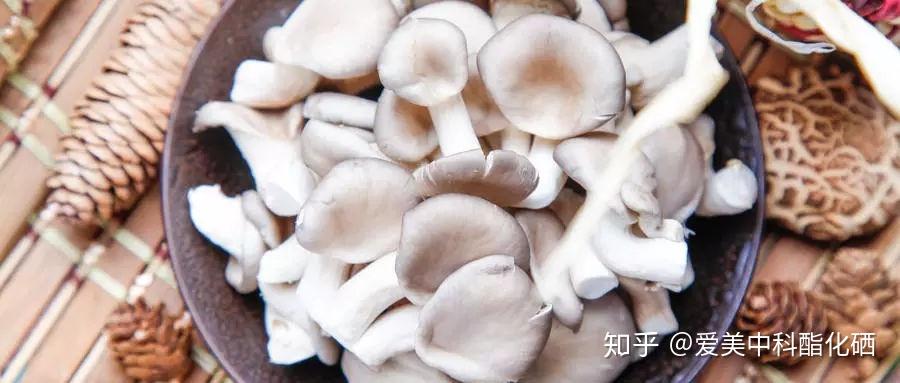 中年人怎么补硒（中老年补硒还有用吗）-硒宝网