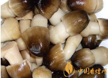 中年人怎么补硒（中老年补硒还有用吗）-硒宝网